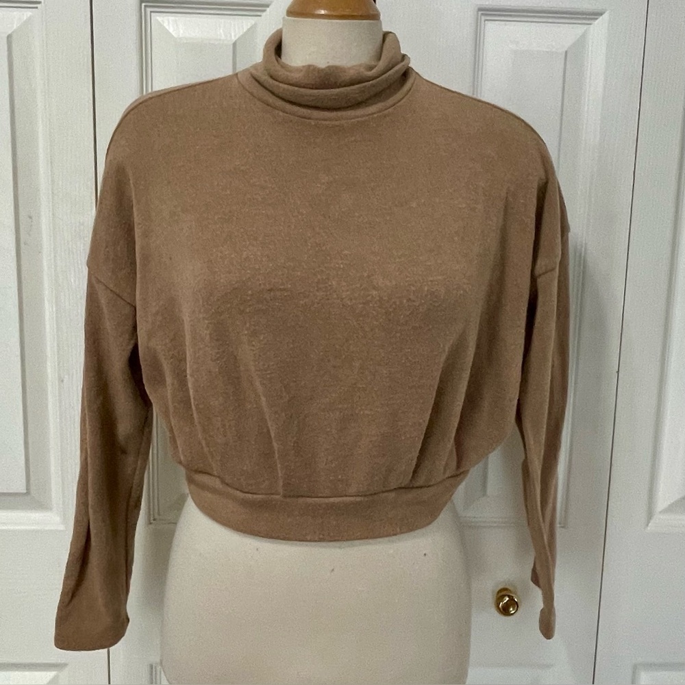 Cropped Cozy Tan Turtleneck Sweater